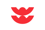 Flag of Izumo, Shimane